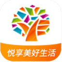 Win11的份额飙升 近乎追平Win10：差距仅1%