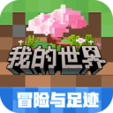 天空体育：维拉接近签下布雷斯特门将比佐特，将担任球队二号门将