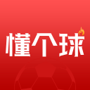 被官方逼疯！《空洞骑士：丝之歌》玩家社区祭出封禁仪式换取更多资讯